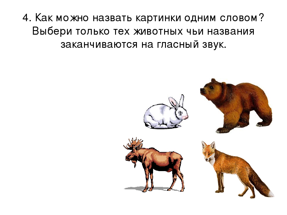 Презентация к занятию "ГЛАСНЫЕ ЗВУКИ" по обучению грамоте на курсах для будущих первоклассников.