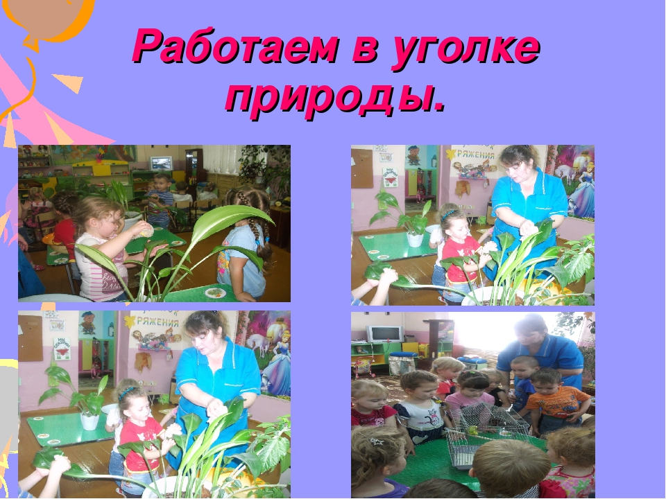 Развлечение в ДОУ " Будни и праздники нашего детского сада