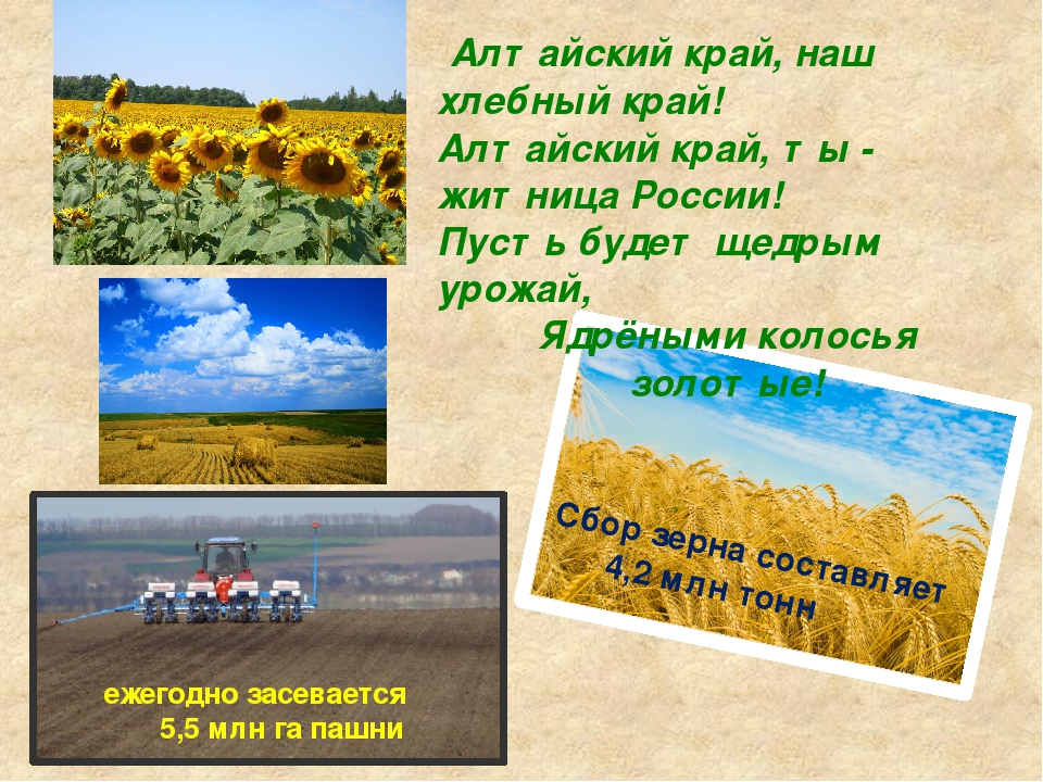 Конспект по ознакомлению с окружающим миром в ДОУ "Мой любимый Алтай!"