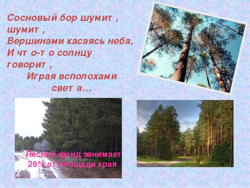 Конспект по ознакомлению с окружающим миром в ДОУ "Мой любимый Алтай!"