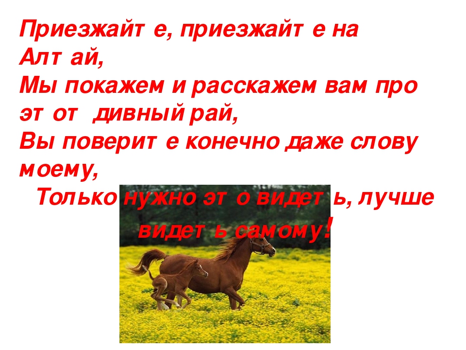 Конспект по ознакомлению с окружающим миром в ДОУ "Мой любимый Алтай!"