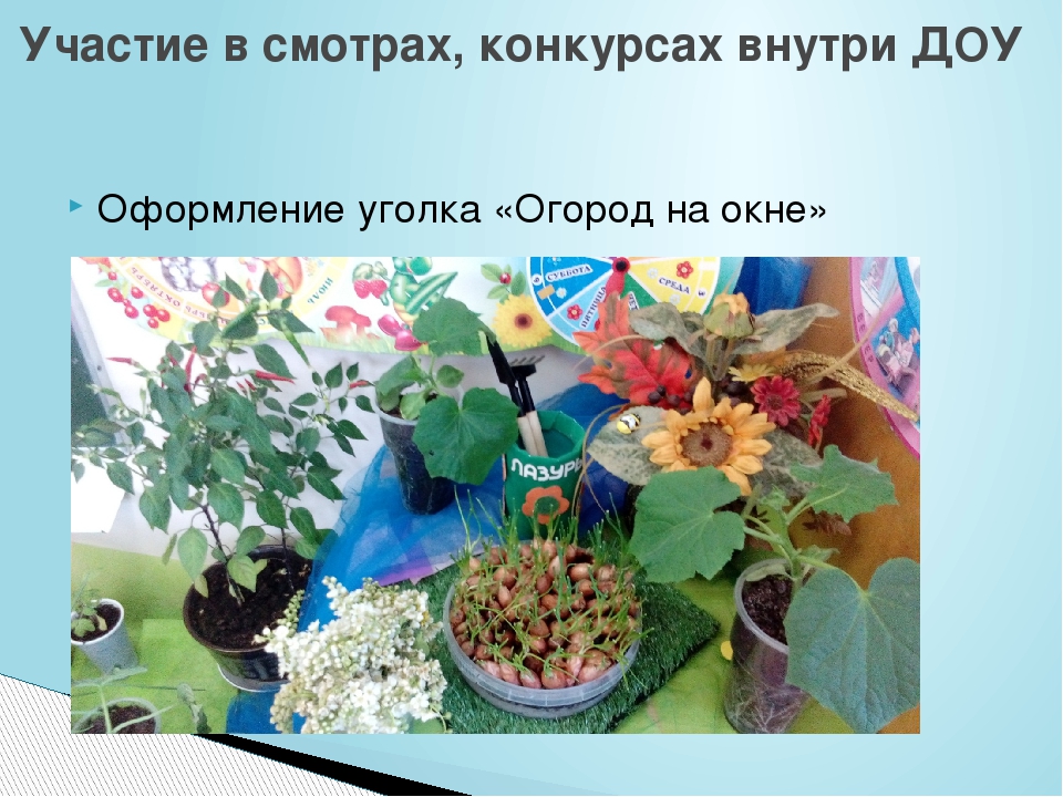 Презентация "Отчёт о проделанной работе"