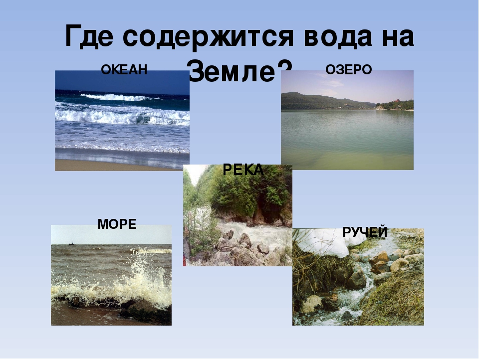 Презентация "Роль воды в жизни человека"