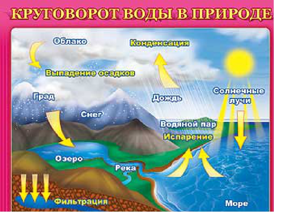Презентация "Роль воды в жизни человека"
