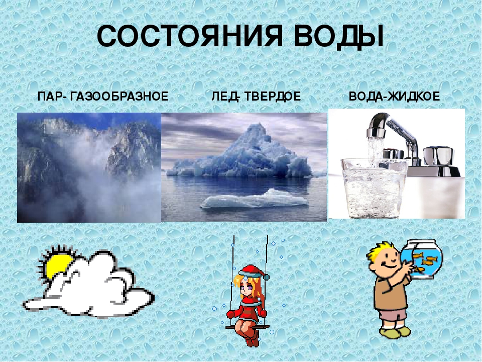 Презентация "Роль воды в жизни человека"