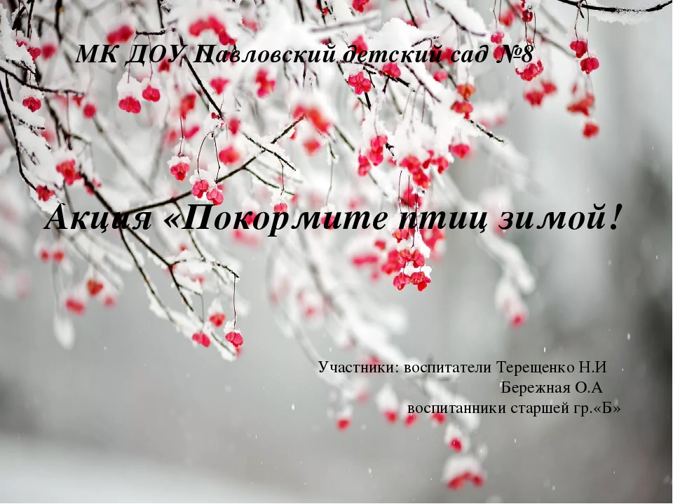 Презентация на тему "Акция Покормите птиц зимой"