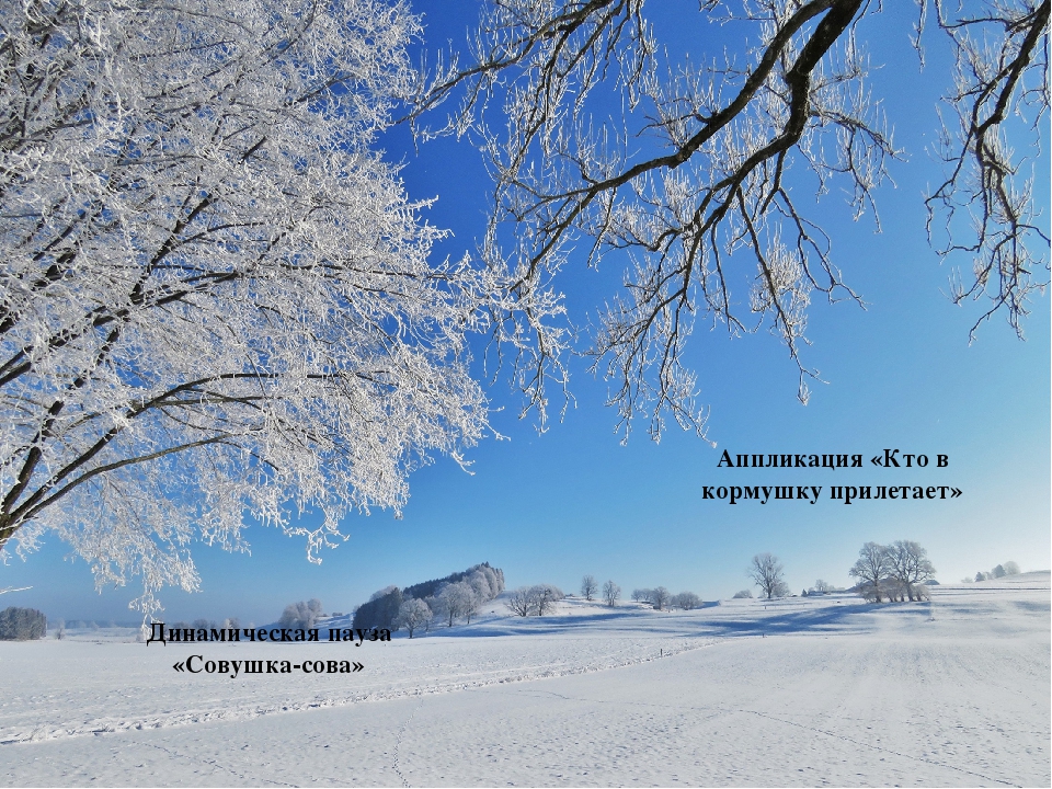 Презентация на тему "Акция Покормите птиц зимой"