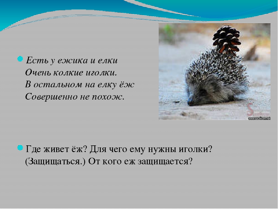 Презентация на тему "Развитие связной речи у дошкольников"