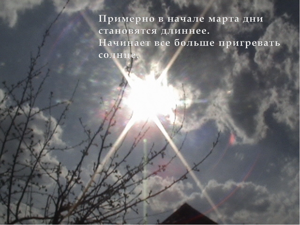 Презентация на тему "Весенние приметы"
