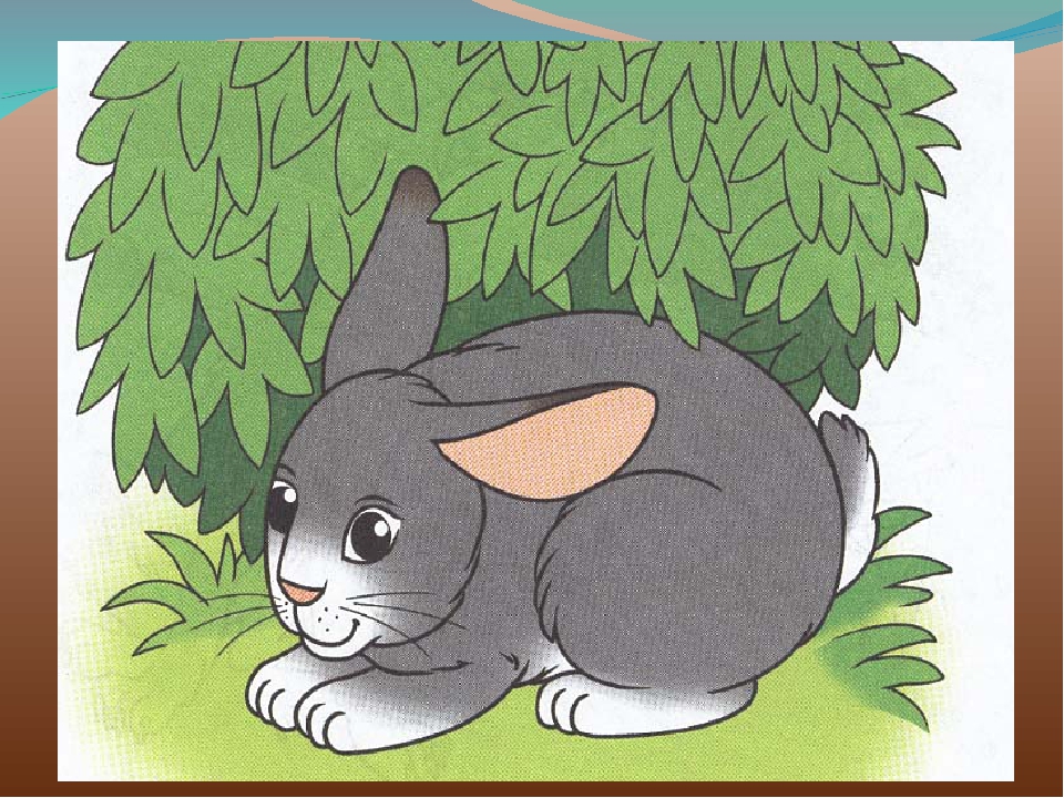 Зайчик по татарски. Заяц под кустом. Заяц для детей. Зайчик рисунок. Заяц под кустом для детей.