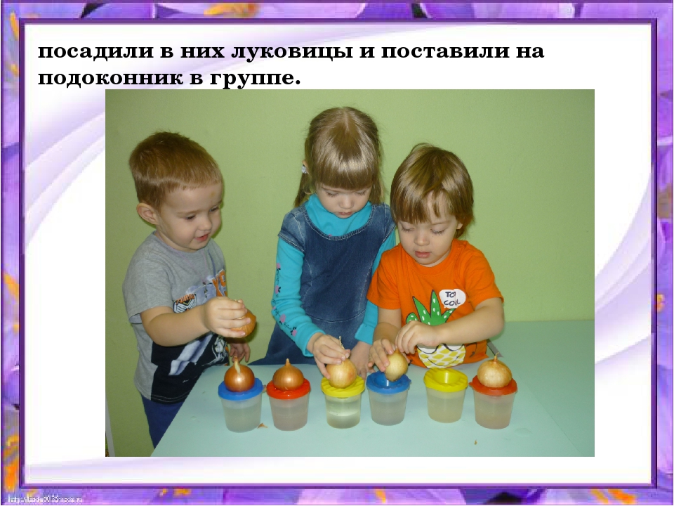 Презентация по организации познавательной деятельности "Зелёные пёрышки"