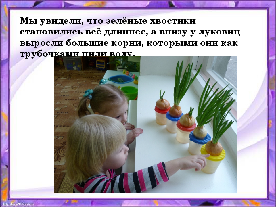 Презентация по организации познавательной деятельности "Зелёные пёрышки"