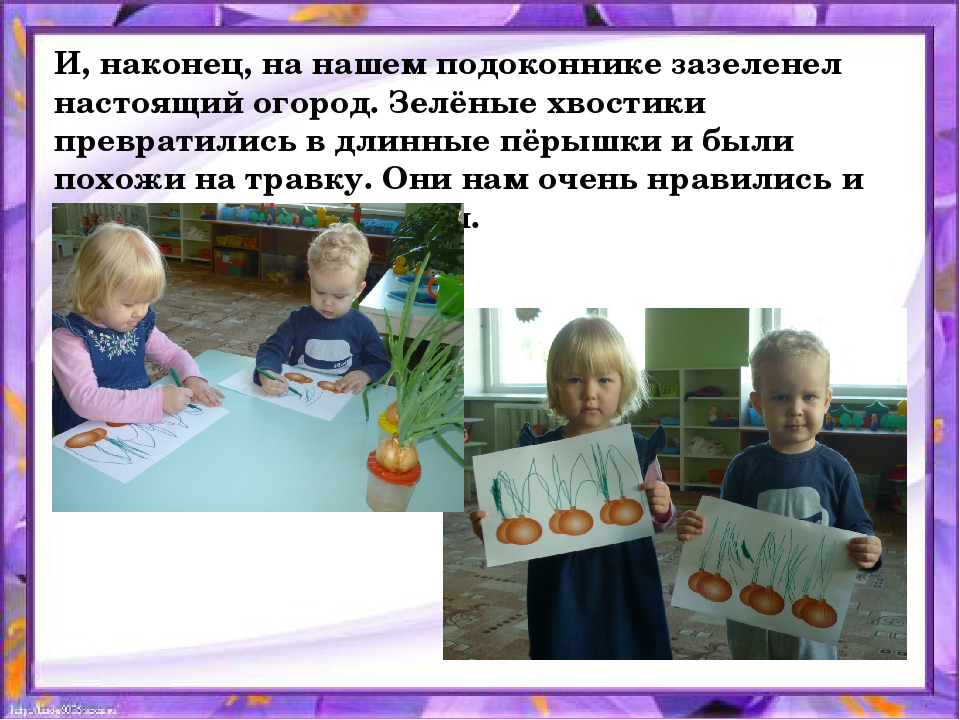 Презентация по организации познавательной деятельности "Зелёные пёрышки"