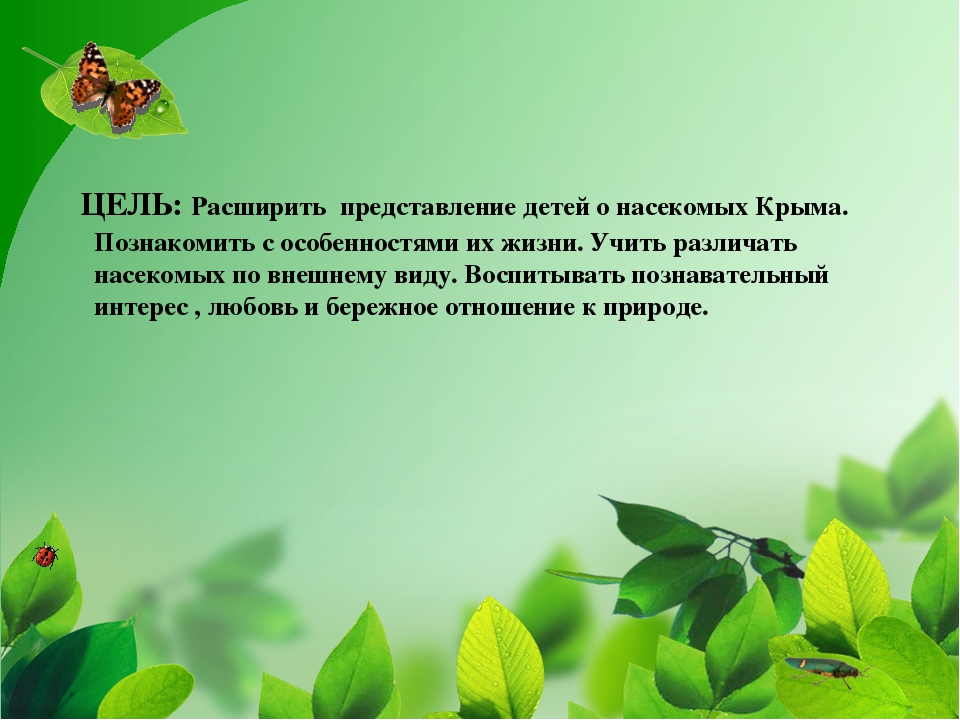 ПРЕЗЕНТАЦИЯ НА ТЕМУ «НАСЕКОМЫЕ КРЫМА»