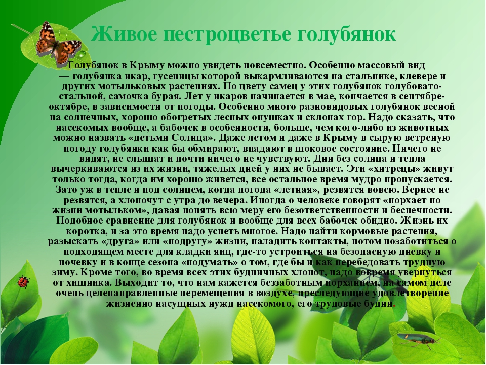 ПРЕЗЕНТАЦИЯ НА ТЕМУ «НАСЕКОМЫЕ КРЫМА»