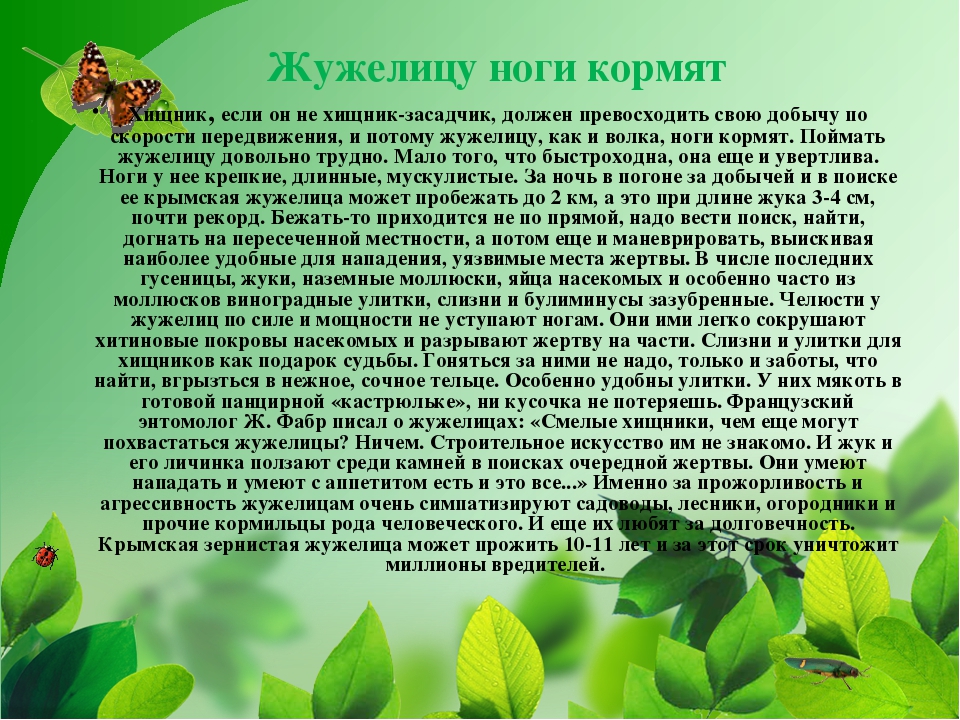 ПРЕЗЕНТАЦИЯ НА ТЕМУ «НАСЕКОМЫЕ КРЫМА»