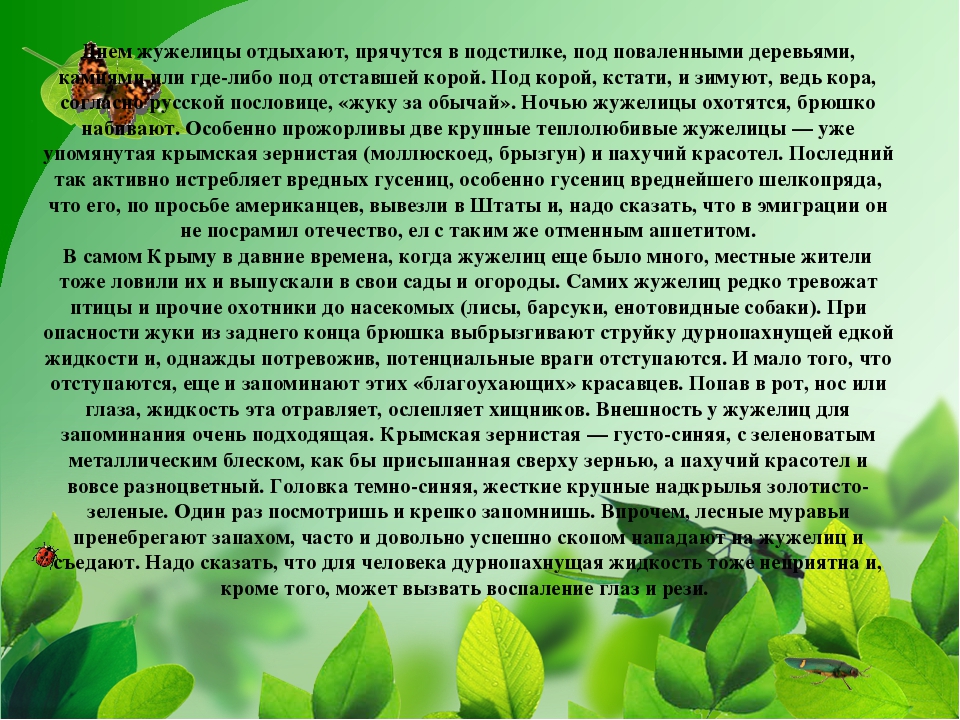 ПРЕЗЕНТАЦИЯ НА ТЕМУ «НАСЕКОМЫЕ КРЫМА»