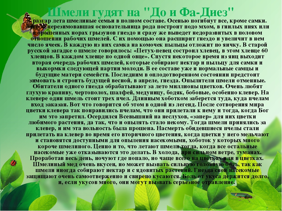 ПРЕЗЕНТАЦИЯ НА ТЕМУ «НАСЕКОМЫЕ КРЫМА»