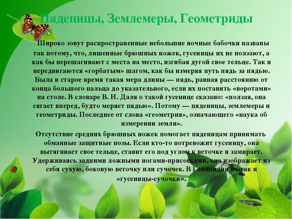 ПРЕЗЕНТАЦИЯ НА ТЕМУ «НАСЕКОМЫЕ КРЫМА»
