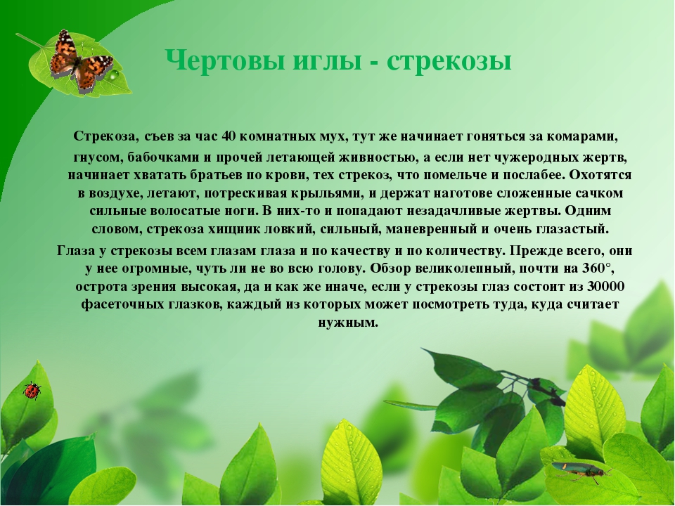 ПРЕЗЕНТАЦИЯ НА ТЕМУ «НАСЕКОМЫЕ КРЫМА»