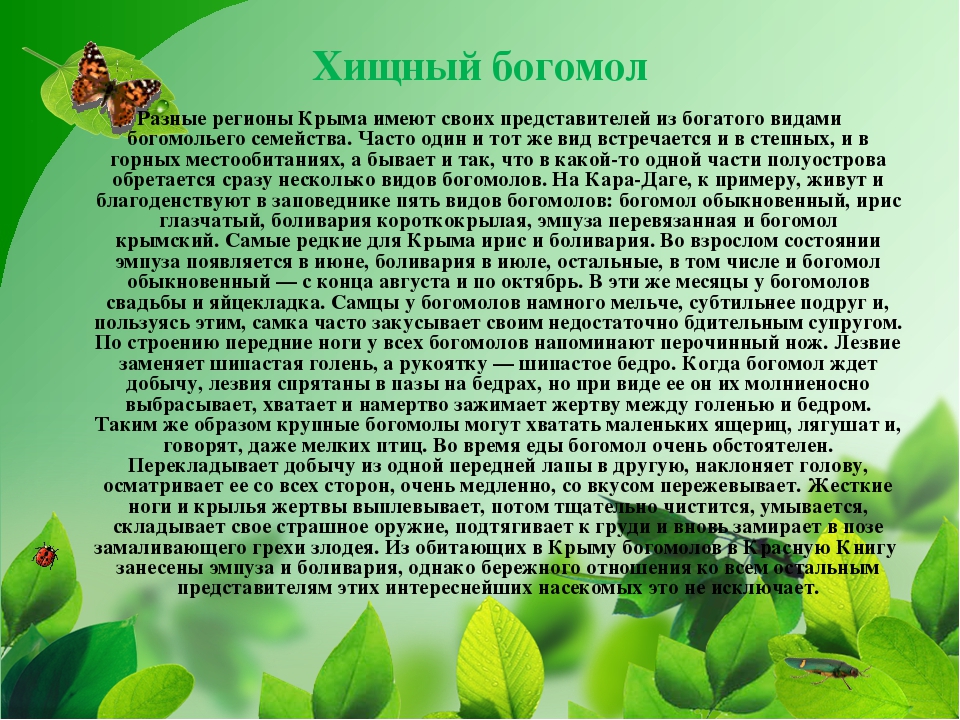 ПРЕЗЕНТАЦИЯ НА ТЕМУ «НАСЕКОМЫЕ КРЫМА»