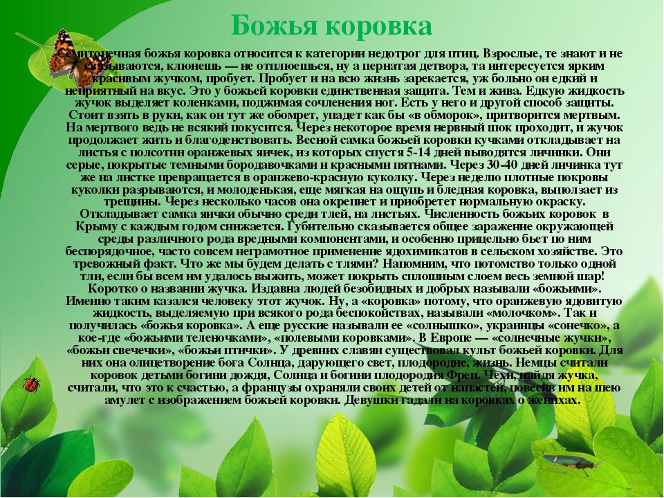 ПРЕЗЕНТАЦИЯ НА ТЕМУ «НАСЕКОМЫЕ КРЫМА»