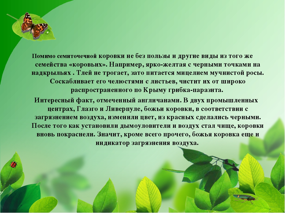 ПРЕЗЕНТАЦИЯ НА ТЕМУ «НАСЕКОМЫЕ КРЫМА»