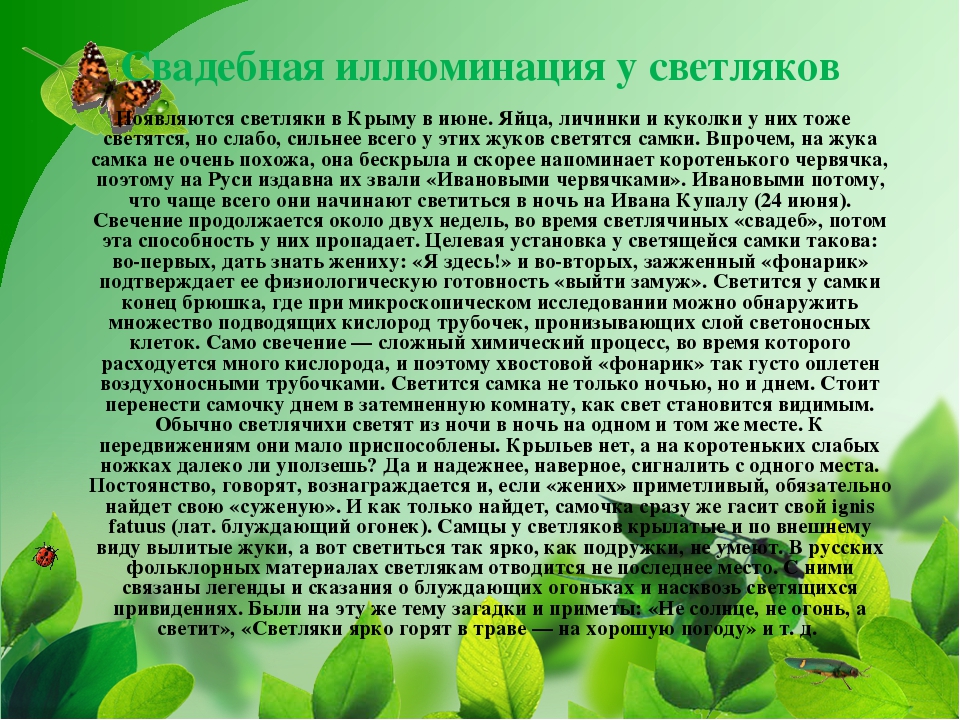 ПРЕЗЕНТАЦИЯ НА ТЕМУ «НАСЕКОМЫЕ КРЫМА»