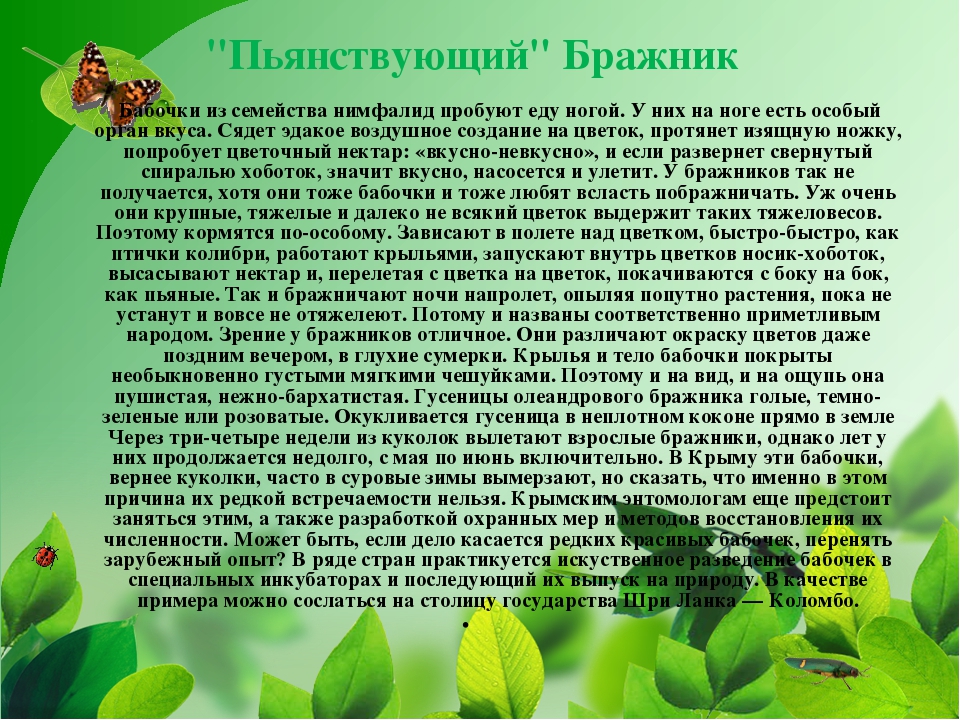 ПРЕЗЕНТАЦИЯ НА ТЕМУ «НАСЕКОМЫЕ КРЫМА»