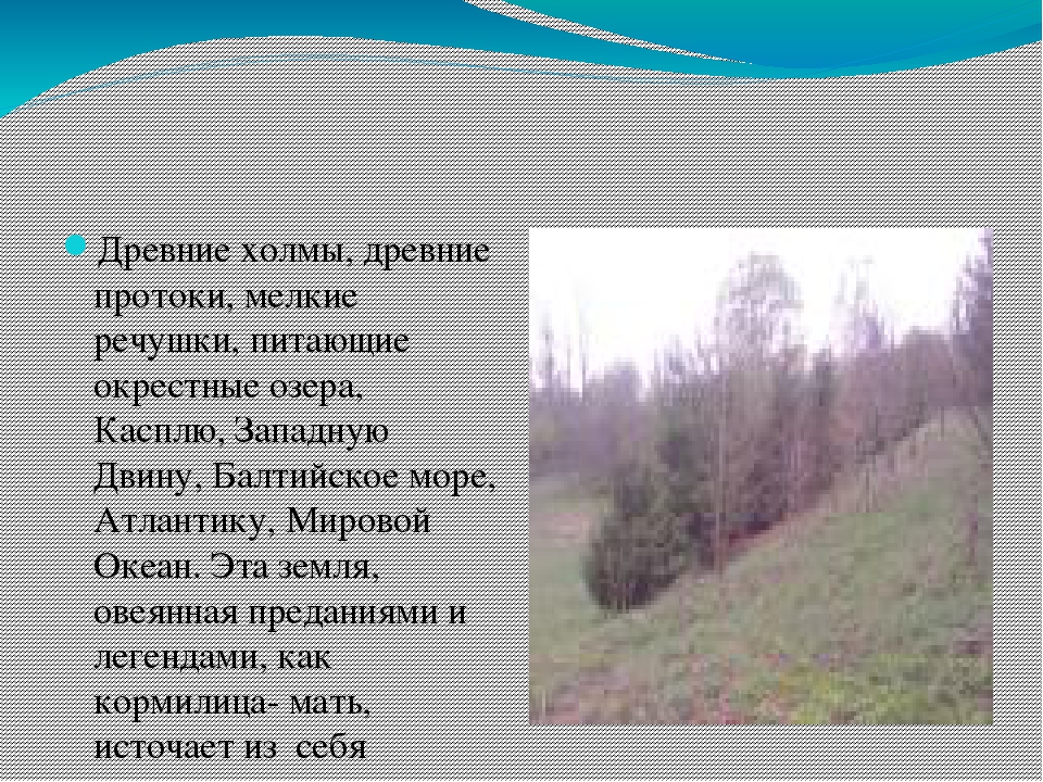 Презентация "Микулинские родники Руднянского района Смоленской области"