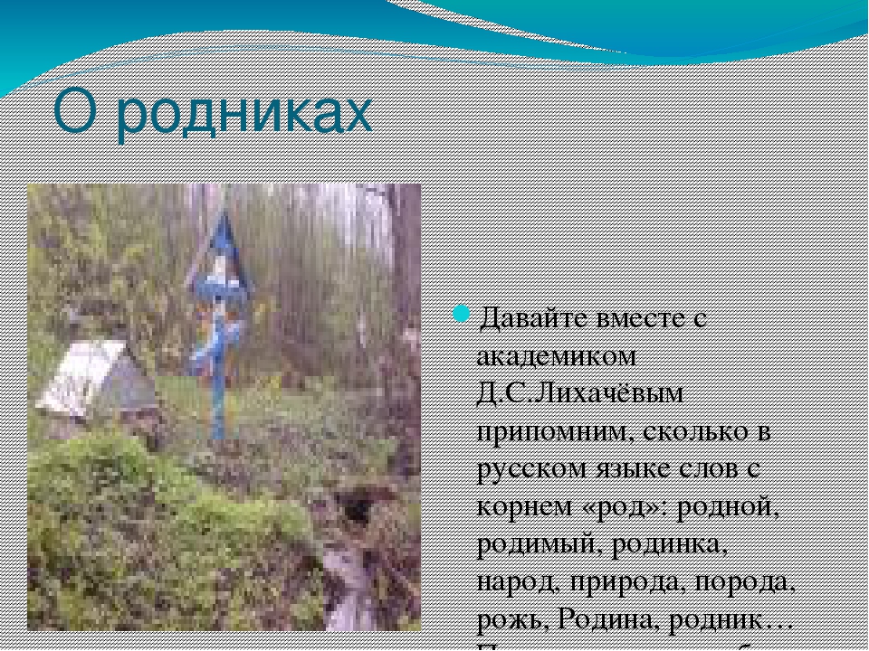 Презентация "Микулинские родники Руднянского района Смоленской области"