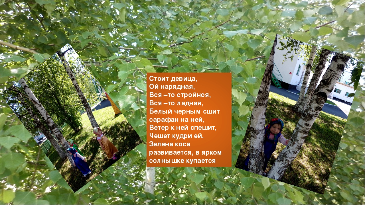 Презентация "День березки" ясельная группа