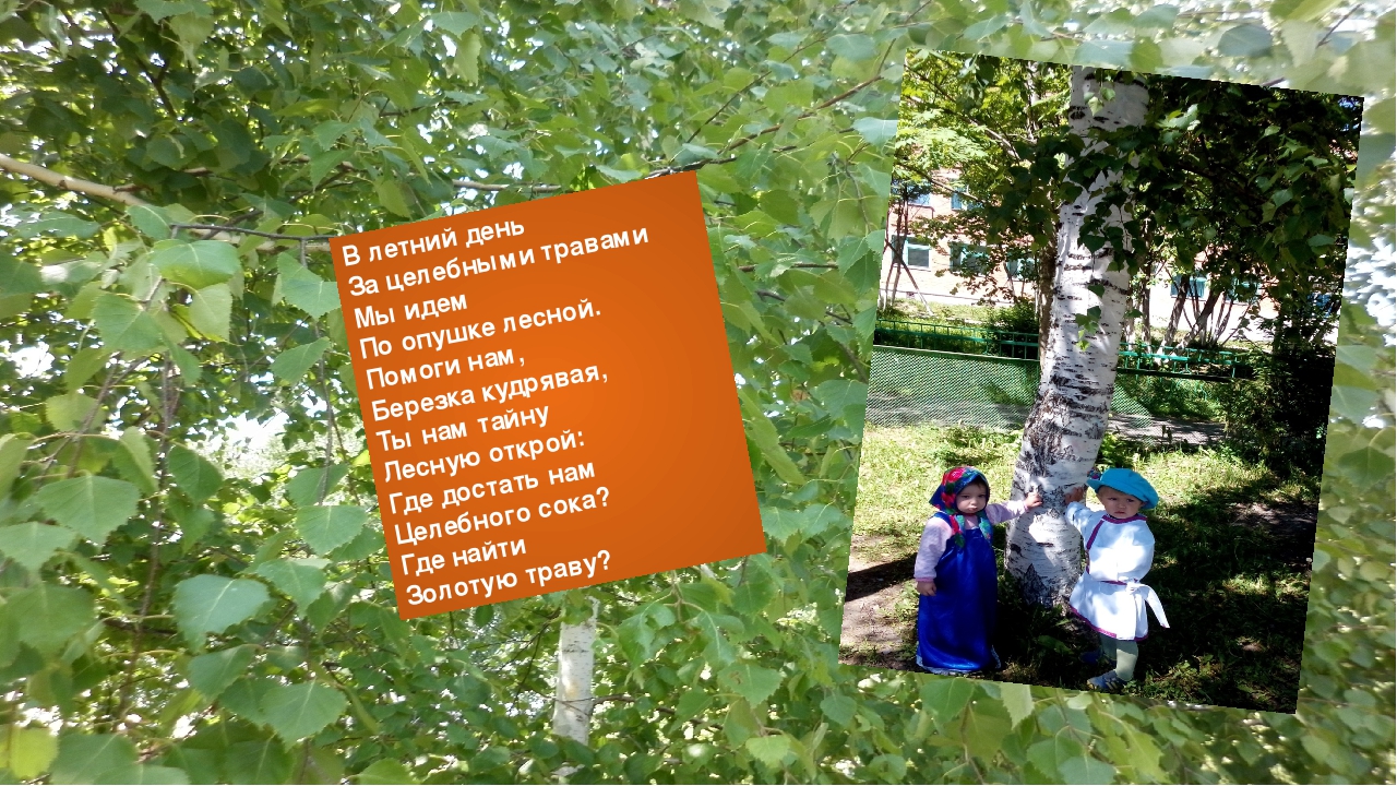 Презентация "День березки" ясельная группа