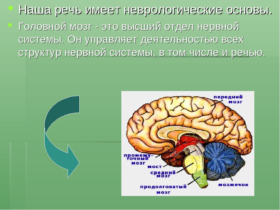 "Пальчиковые игры-основа развития речи и мелкой моторики у дошкольников"