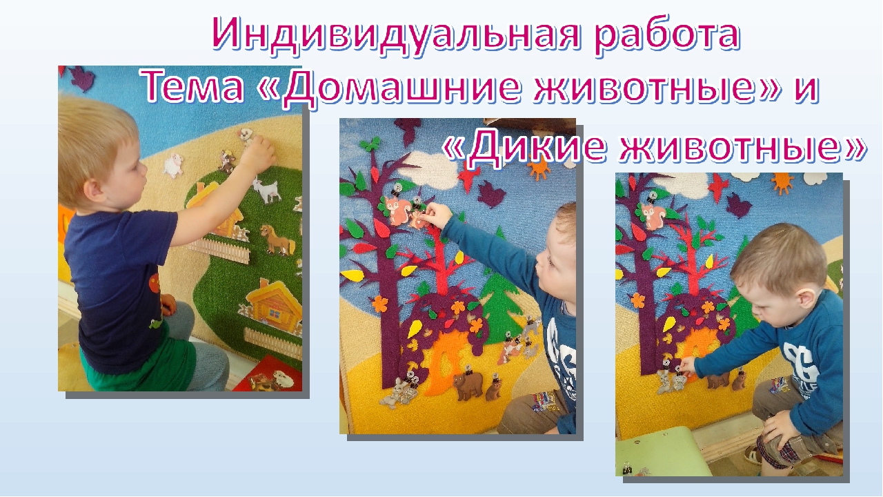 Презентация к выступлению на конференции июнь 2017г.