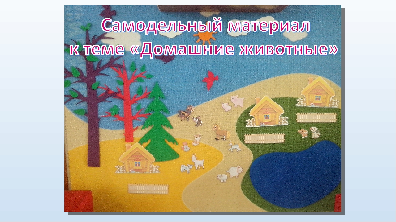 Презентация к выступлению на конференции июнь 2017г.