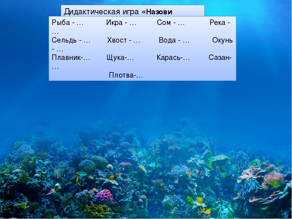 Презентация к занятию по развитию речи в старшей группе компенсирующей направленности на тему "Рыбы"