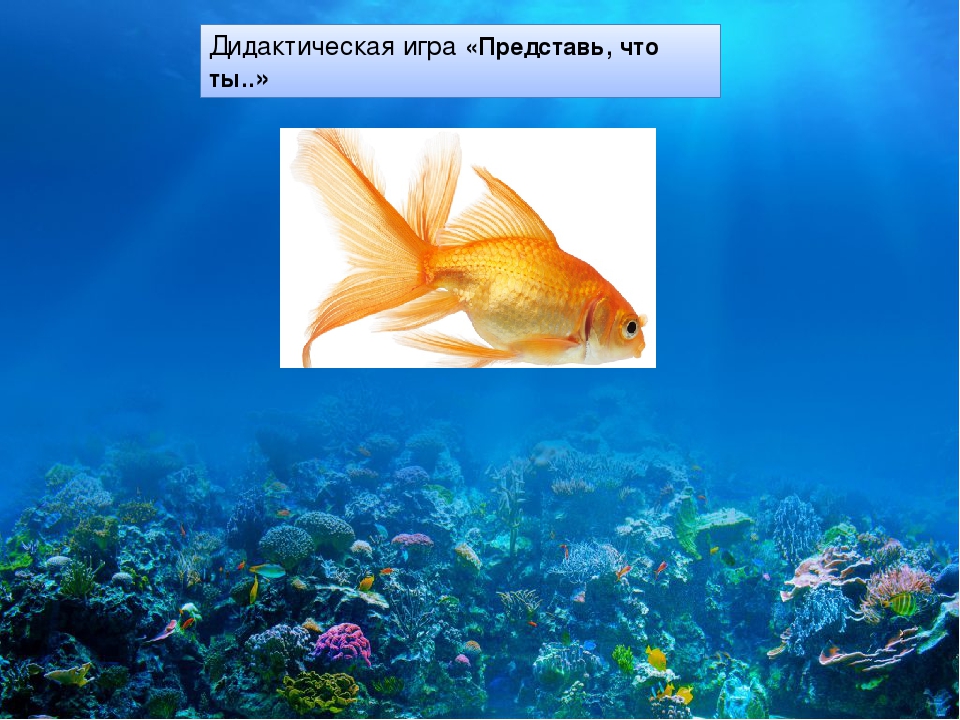 Презентация к занятию по развитию речи в старшей группе компенсирующей направленности на тему "Рыбы"