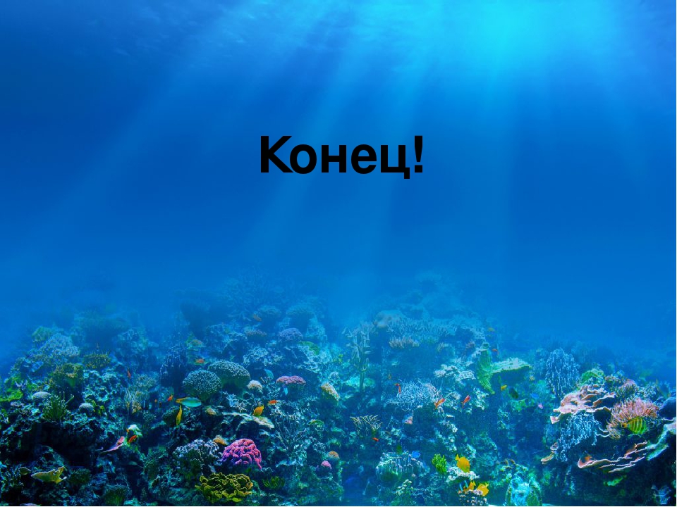 Презентация к занятию по развитию речи в старшей группе компенсирующей направленности на тему "Рыбы"