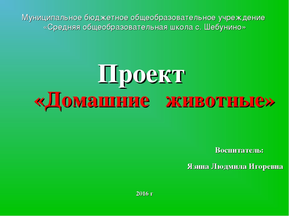 Презентация проекта "Домашние животные"