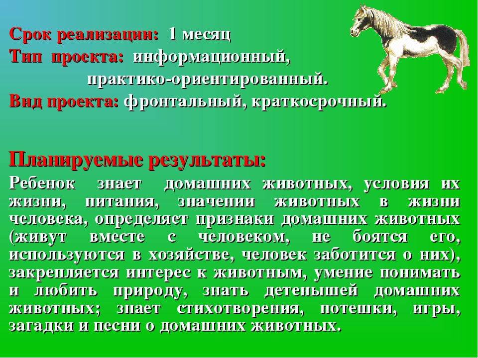 Животные определение. Навыки домашних животных. Характеристики проекта о домашних животных. Навыки животных примеры. Навыки домашних животных примеры.