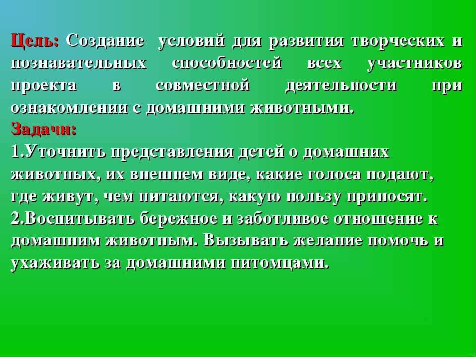 Презентация проекта "Домашние животные"
