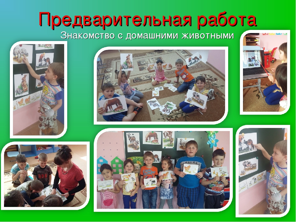 Презентация проекта "Домашние животные"