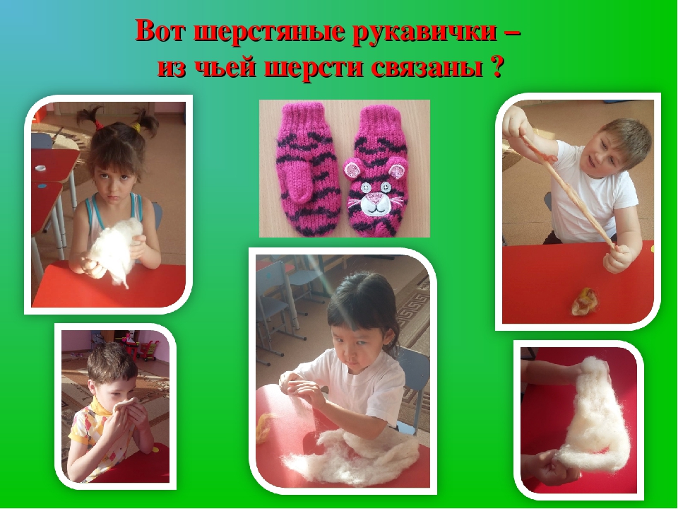 Презентация проекта "Домашние животные"