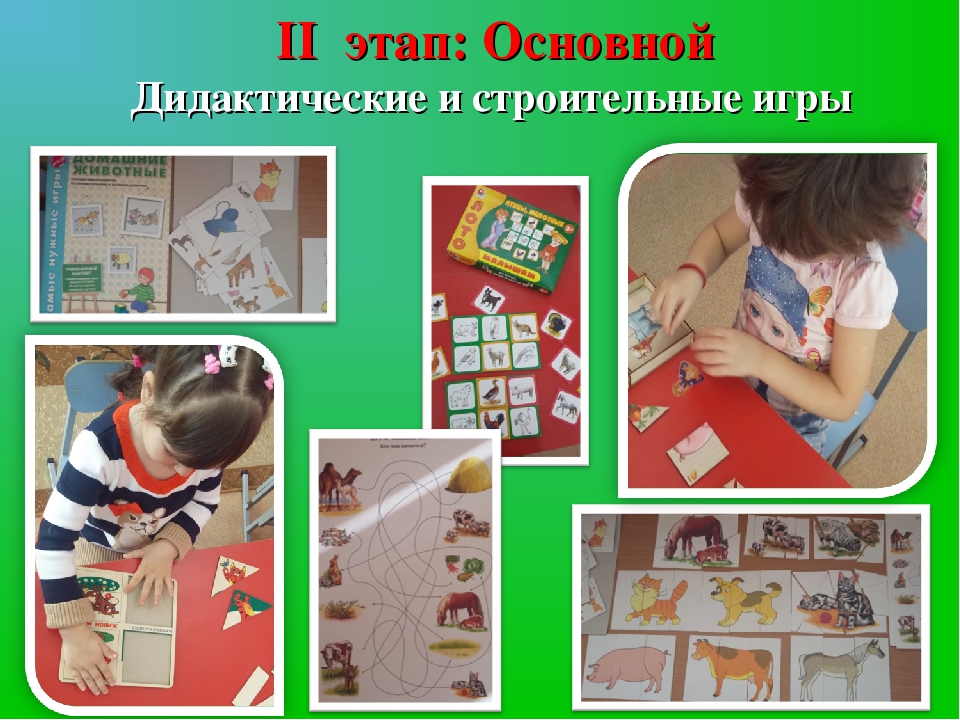 Презентация проекта "Домашние животные"