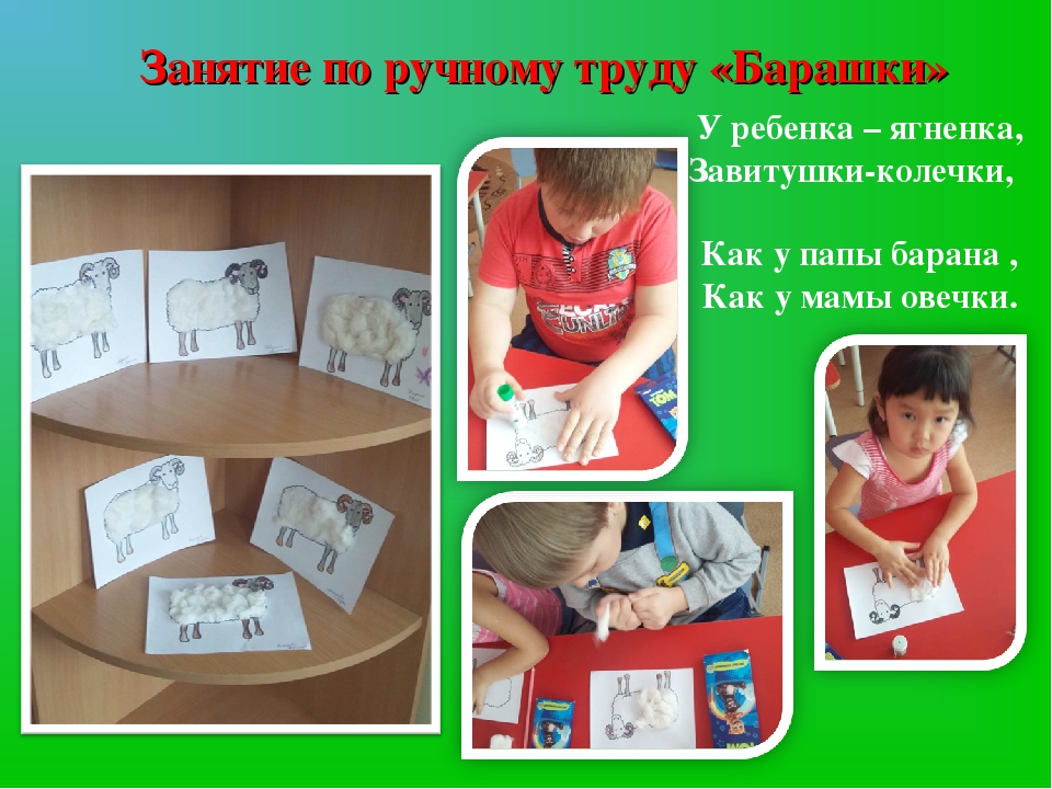 Презентация проекта "Домашние животные"