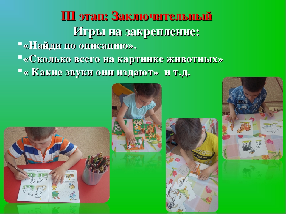Презентация проекта "Домашние животные"
