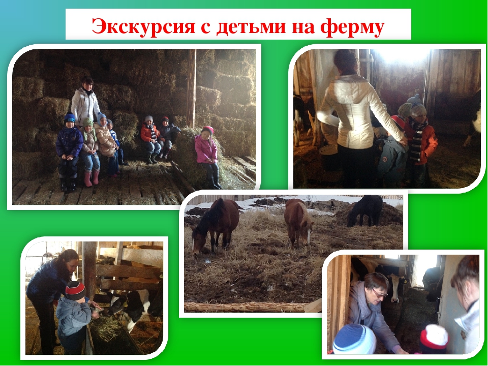Презентация проекта "Домашние животные"