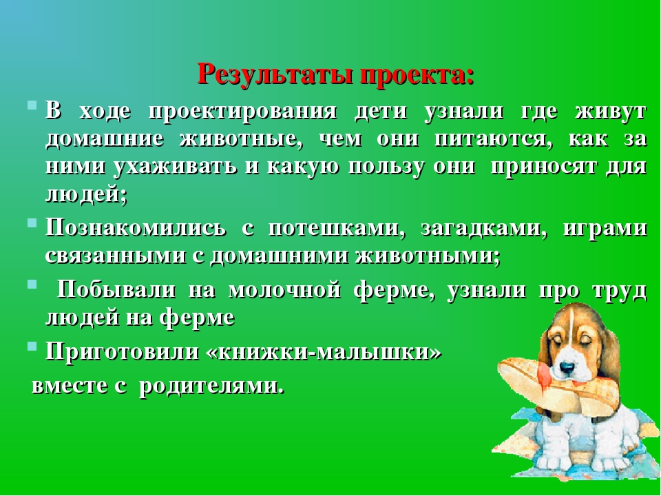 Презентация проекта "Домашние животные"