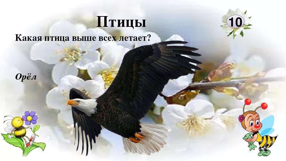 Интерактивная игра "Любители природы"